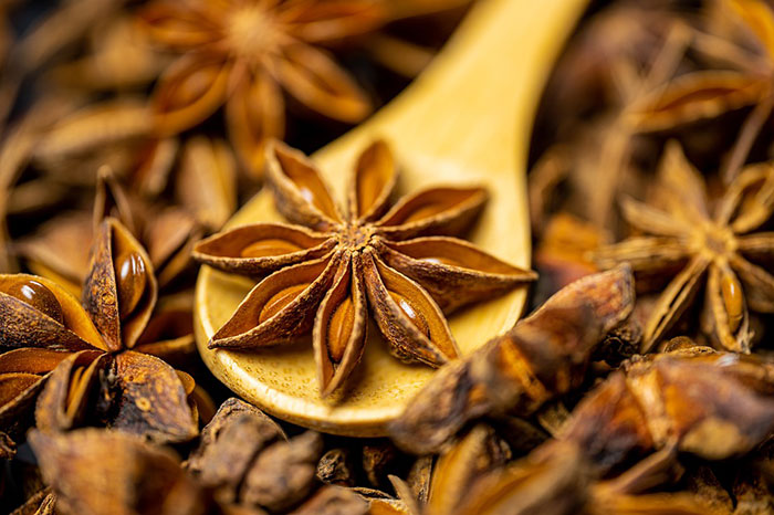 vietnamese spices star anise